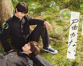 北辰网站优化联系电话